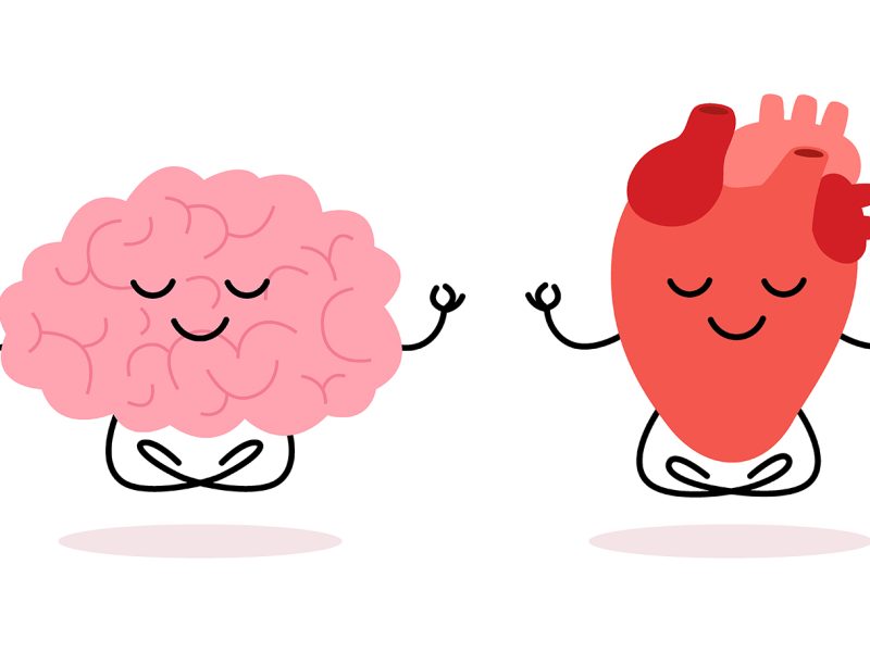 Happy healthy brain mind and heart character meditation yoga relax. Health brain mental organ and heart sit in lotus, keep calm. Vector illustration